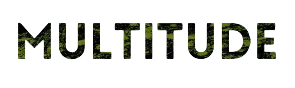Multitude